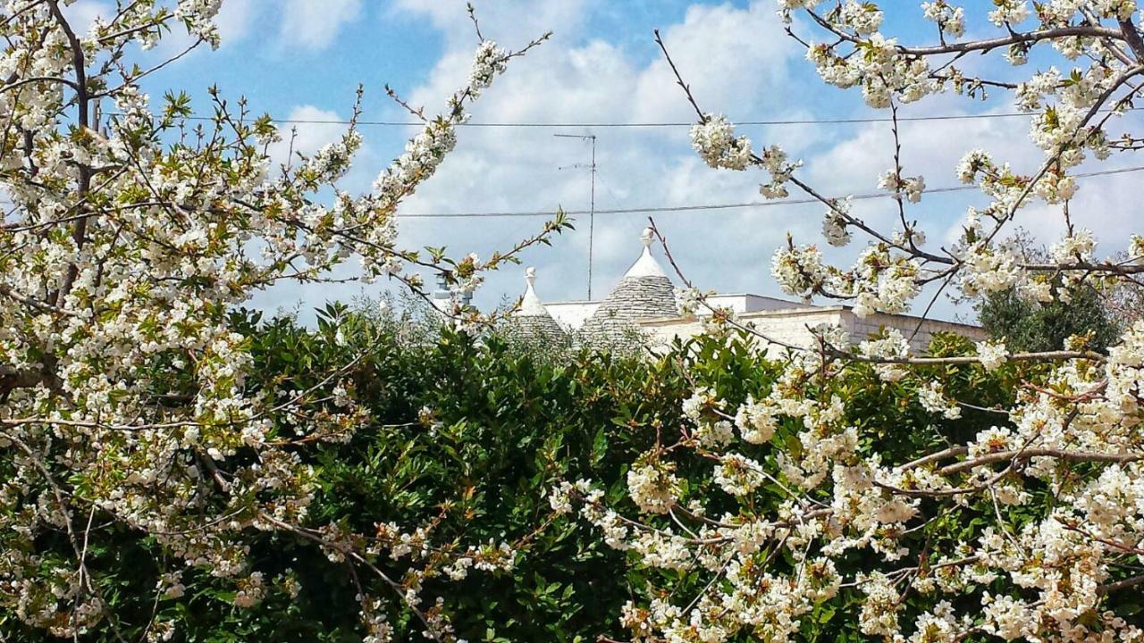 洛科罗通多Trulli Di Rosa别墅 外观 照片
